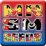 MRSM SEEDS icône