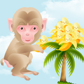 Crazy Monkey