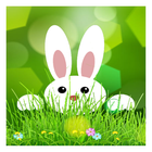 Easter Bunny Run-icoon