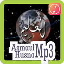 Asmaul Husna MP3 APK