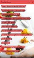Tips Diet Sehat تصوير الشاشة 2