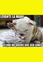 Imágenes de Chistes 截图 1