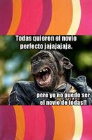 Imagenes para Reir Nuevo ポスター