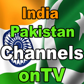 Indian Pakistani Channels onTV icon