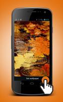 Autumn Leaves Live Wallpaper penulis hantaran