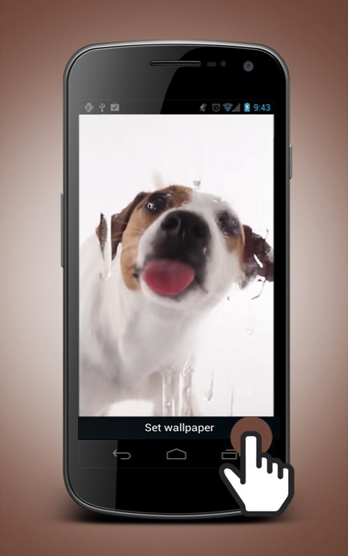 Descarga de APK de Dog Licking Screen Wallpaper para Android