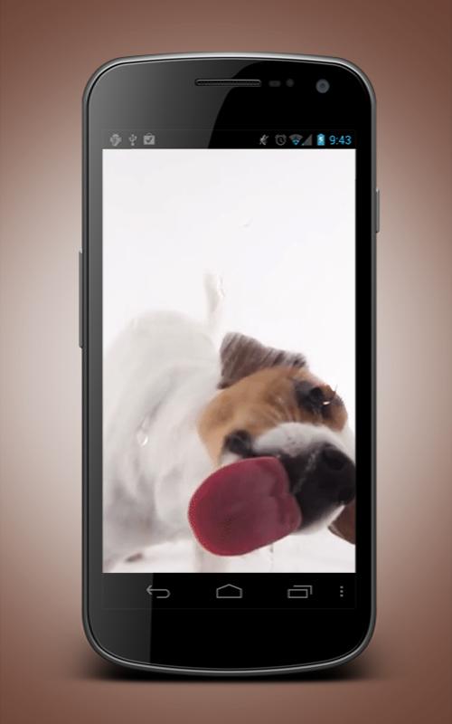 Dog Licking Screen Wallpaper APK für Android herunterladen