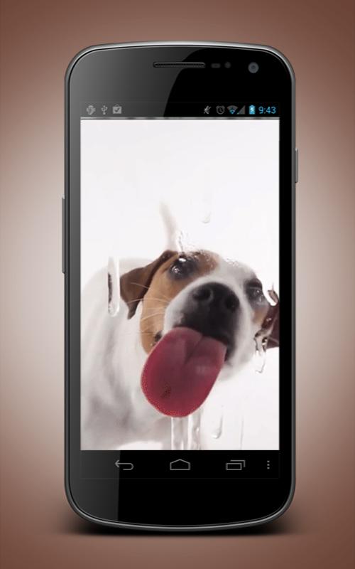 Dog Licking Screen Wallpaper APK für Android herunterladen