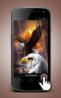 Eagle Live Wallpaper পোস্টার