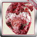 Human Heart Live Wallpaper APK
