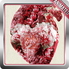 Human Heart Live Wallpaper 图标