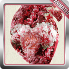 Human Heart Live Wallpaper icône