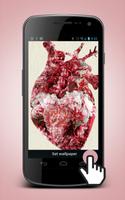 Human Heart Live Wallpaper Plakat