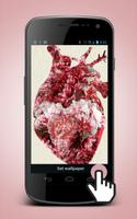 Human Heart Live Wallpaper پوسٹر