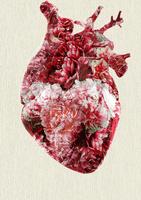 Human Heart Live Wallpaper ภาพหน้าจอ 2