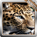 Jaguar Live Wallpaper APK