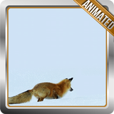Polar Fox Live Wallpaper icono