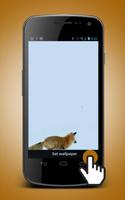 Polar Fox Live Wallpaper Plakat