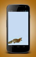 Polar Fox Live Wallpaper captura de pantalla 1