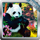 APK Panda Live Wallpaper