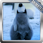 Penguin Wallpaper 圖標