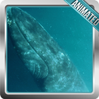 Whale Live Wallpaper أيقونة