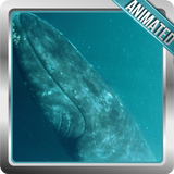 Whale Live Wallpaper أيقونة