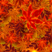 ”Autumn Leaves 2 Live Wallpaper