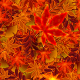 Autumn Leaves 2 Live Wallpaper icône
