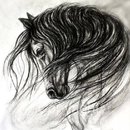 Sketch and Draw a Horse APK