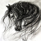 Sketch and Draw a Horse icon