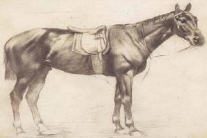 Sketch and Draw a Horse Affiche