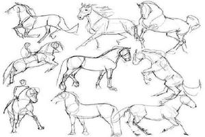 Sketch and Draw a Horse syot layar 2