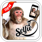 Selfie With Monkey ไอคอน