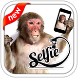 Selfie With Monkey-icoon