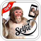 Selfie With Monkey ícone
