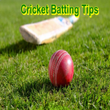 Cricket Batting Guide آئیکن