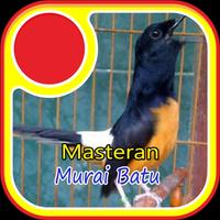 Masteran Murai Batu Borneo-poster