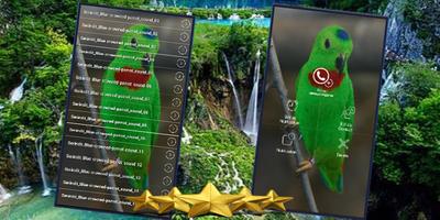 Suara Serindit Gacor Juara : Masteran Serindit poster