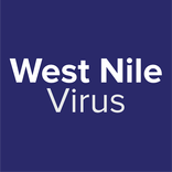 West Nile Virus