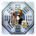 M855 Pet Horoscope