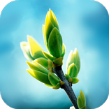 Цитаты из жизни