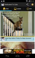 Dedicated to Cats - Page2App screenshot 1