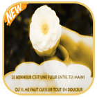 citation de bonheur иконка