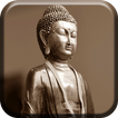 ”Citations Bouddha