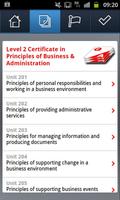 SmartCards: Business Admin L2 imagem de tela 2