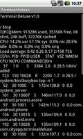 3 Schermata Terminal Emulator