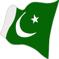 Pakistan Call .