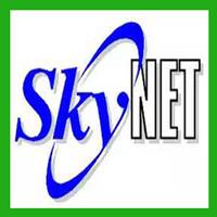 Sky Net Call Affiche