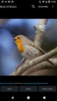 Poster Birds Of Britain